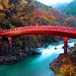 Japanese Bridge A red bridge over a river surrounded by trees