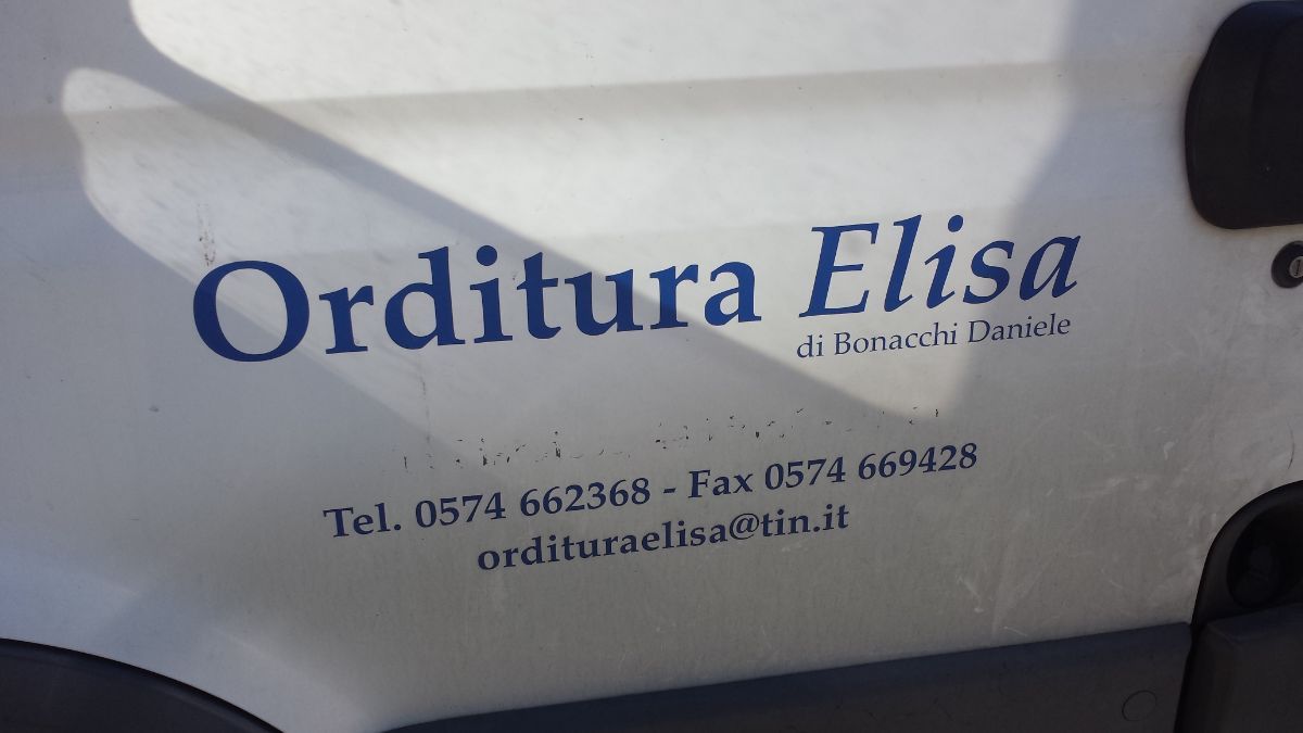 Orditura Elisa