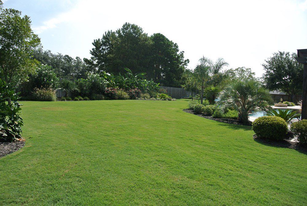 lawn maintenance