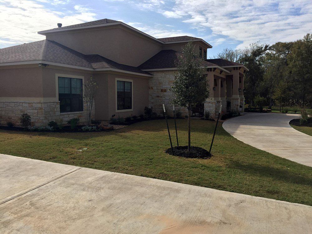 lawn maintenance