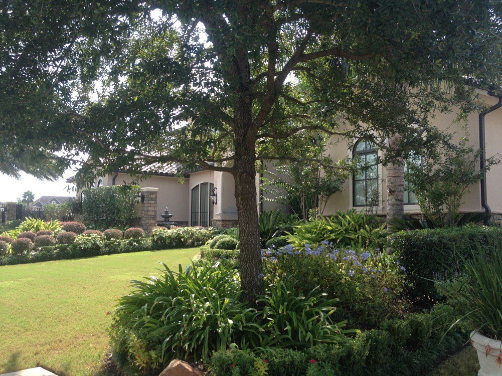 lawn maintenance