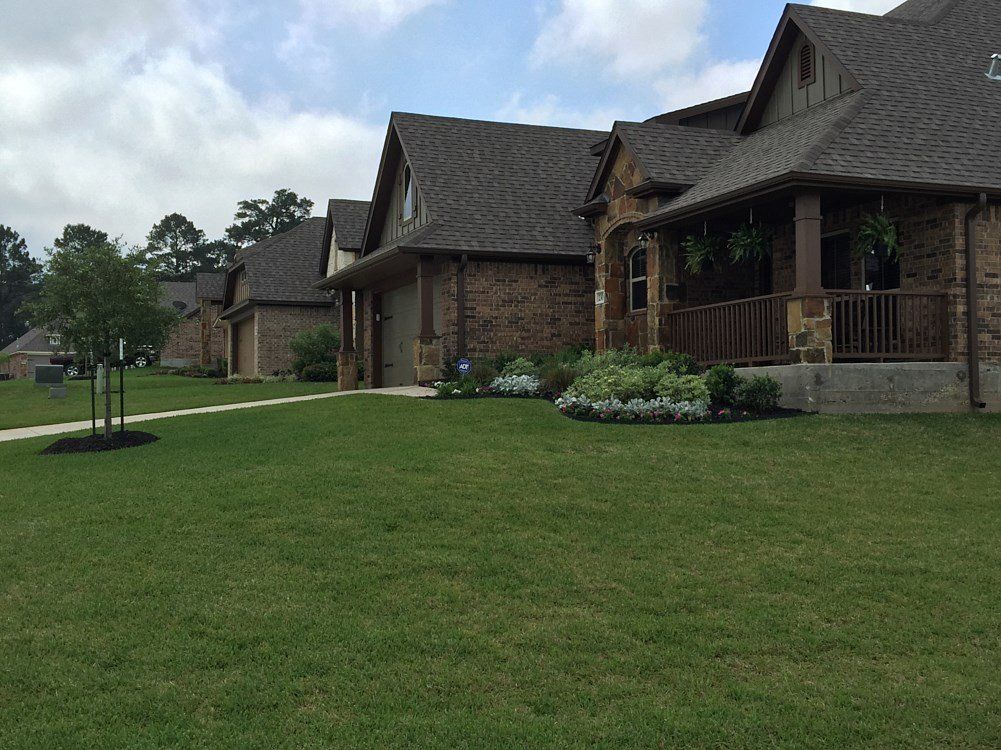 landscape design and installation