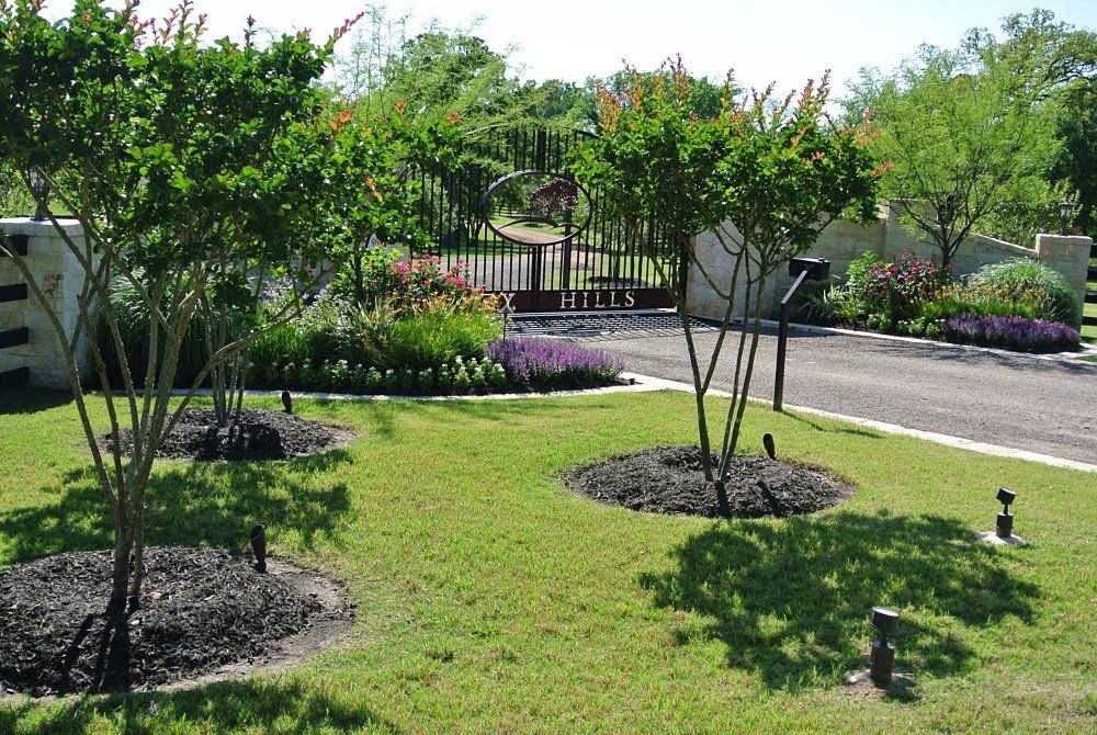 lawn maintenance