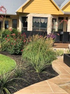 landscape and lawn maintenance