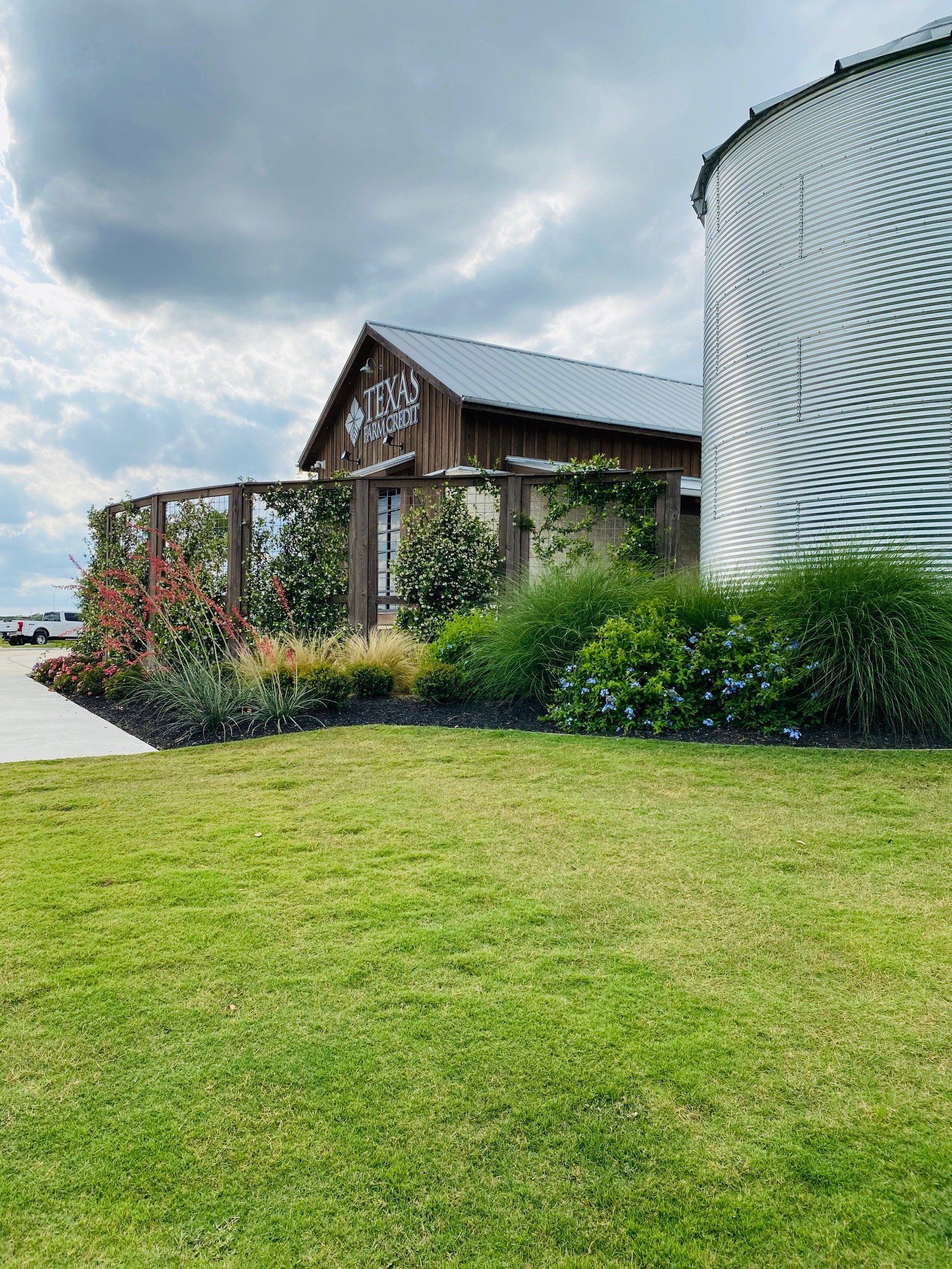 lawn maintenance