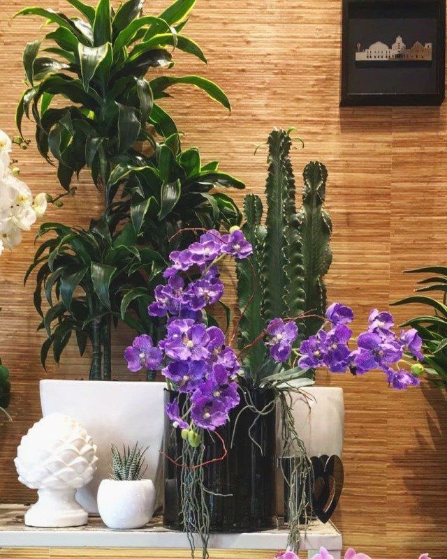 Decorazioni