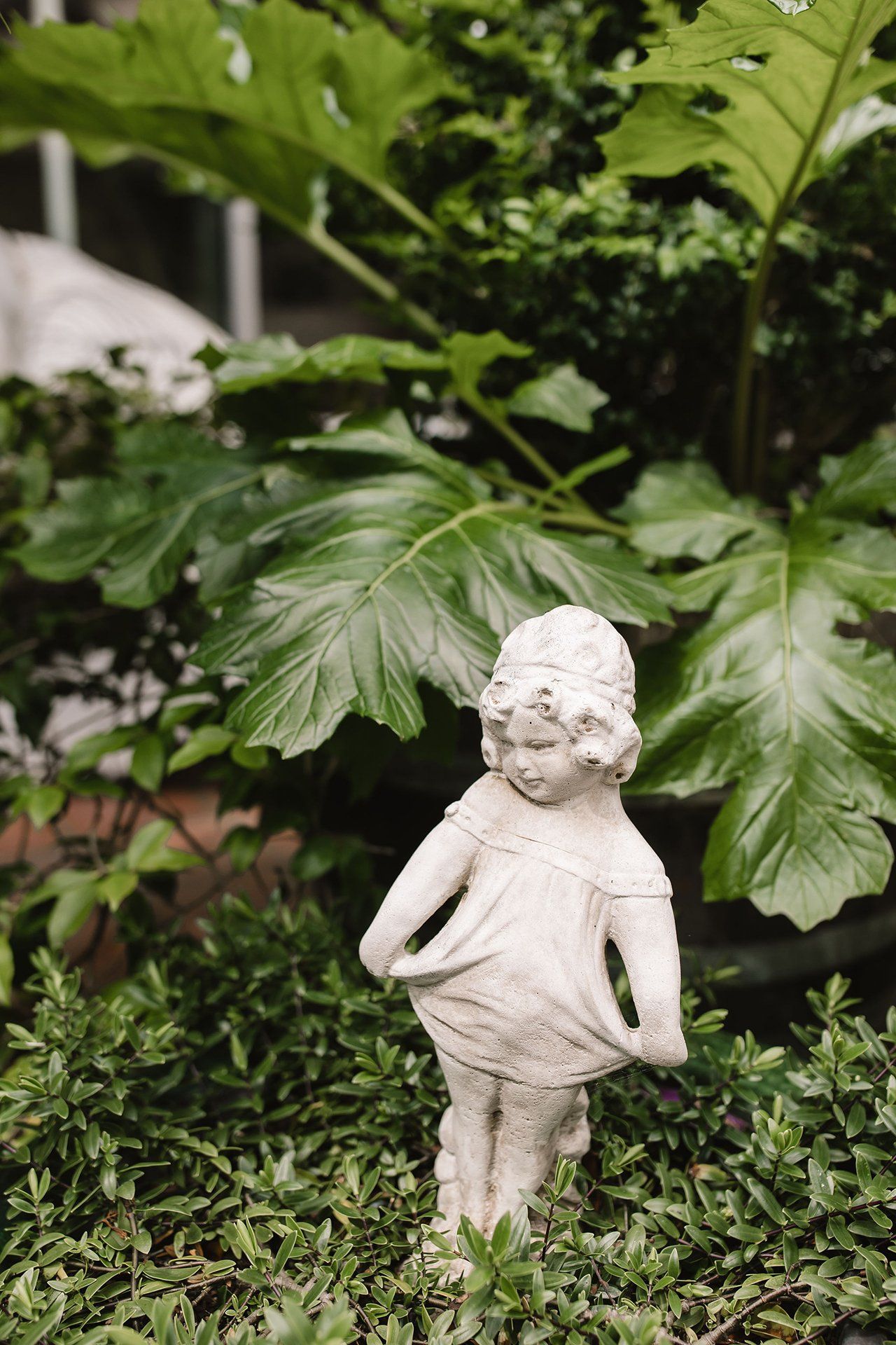 Garden Tours for Bloom in the Boom 2020
