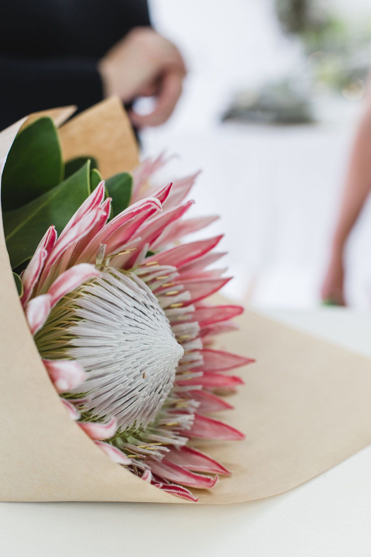 Nina Stanley workshop for Bloom in the Boom 2020