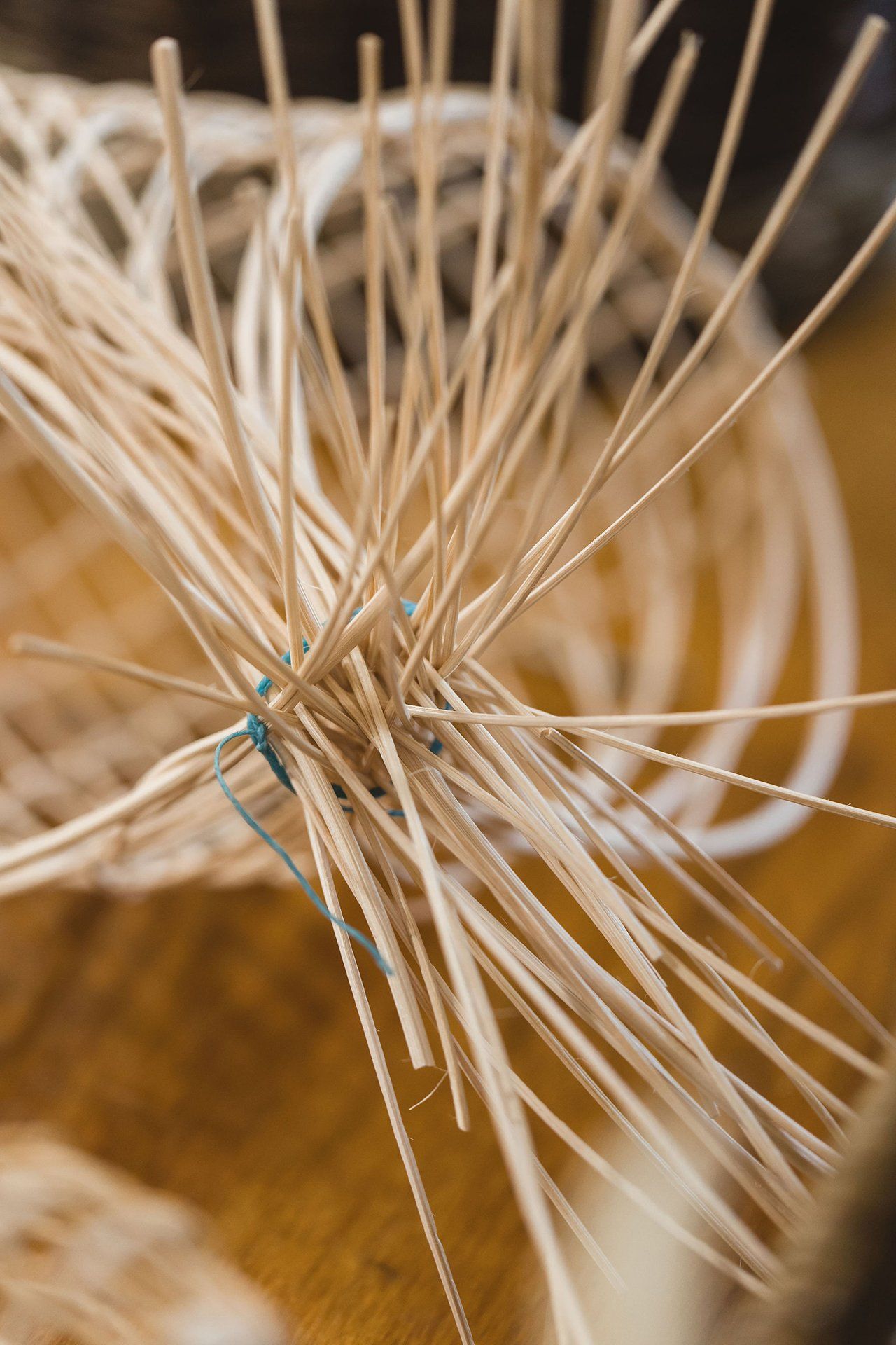 Nicola Basham workshop for Bloom in the Boom 2020