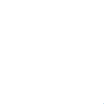 Checked icon