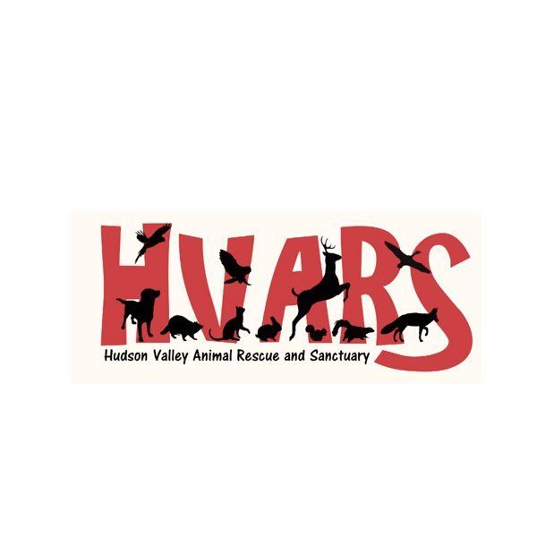 hvars
