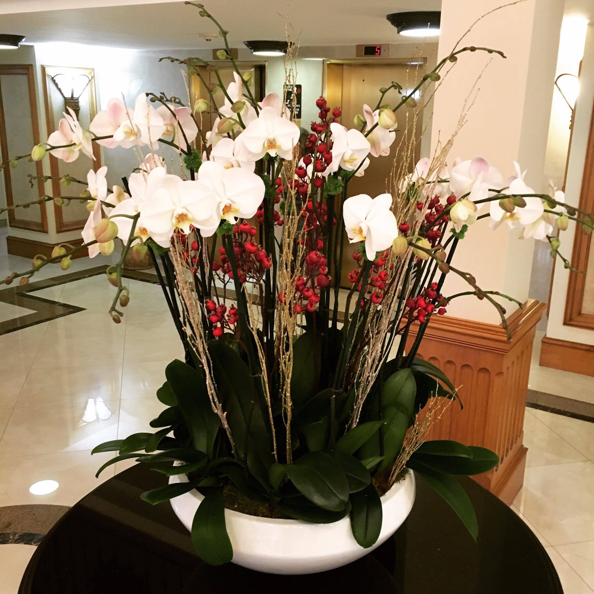 Orchids in Palm Beach