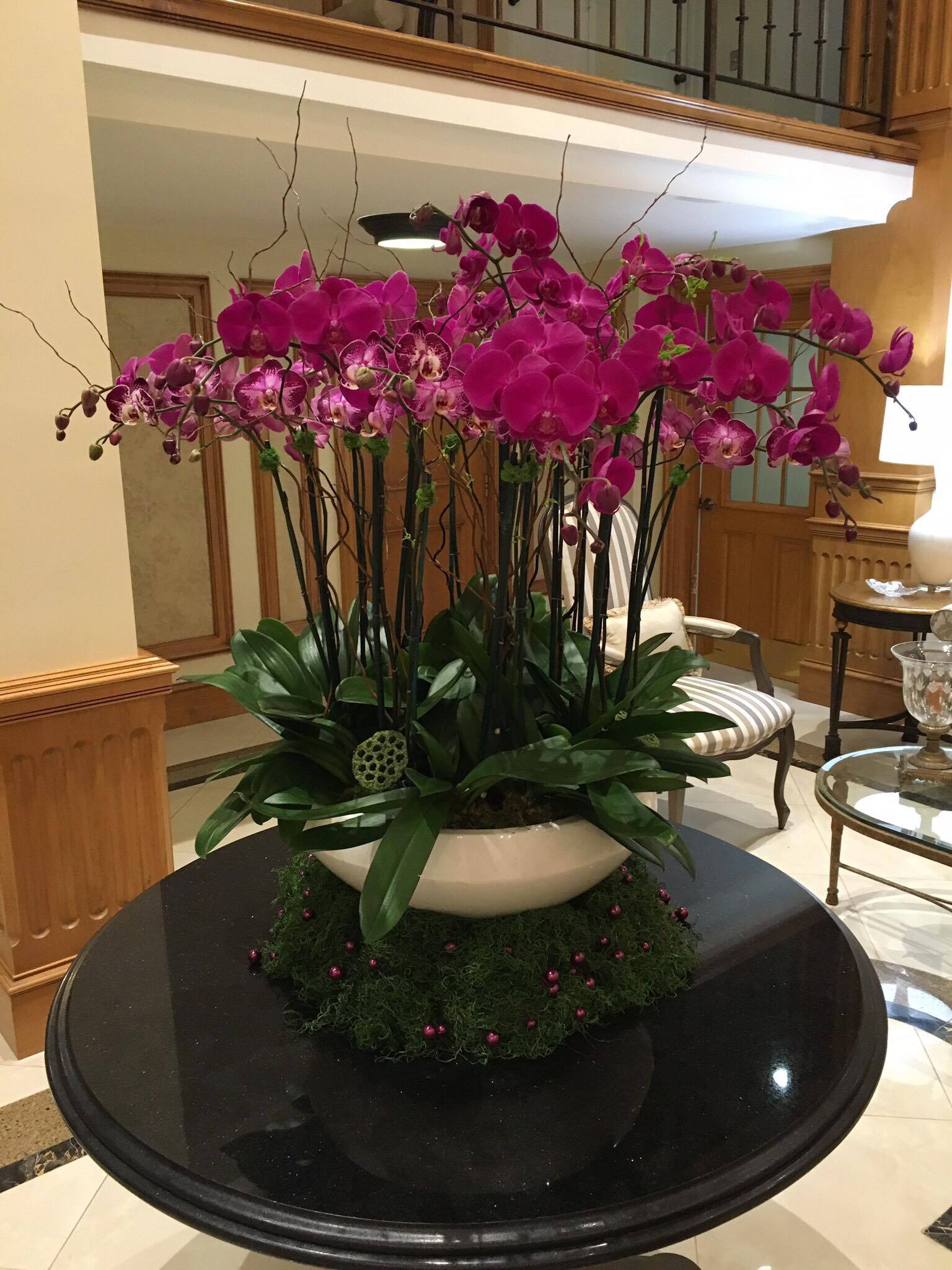 Orchids in Palm Beach