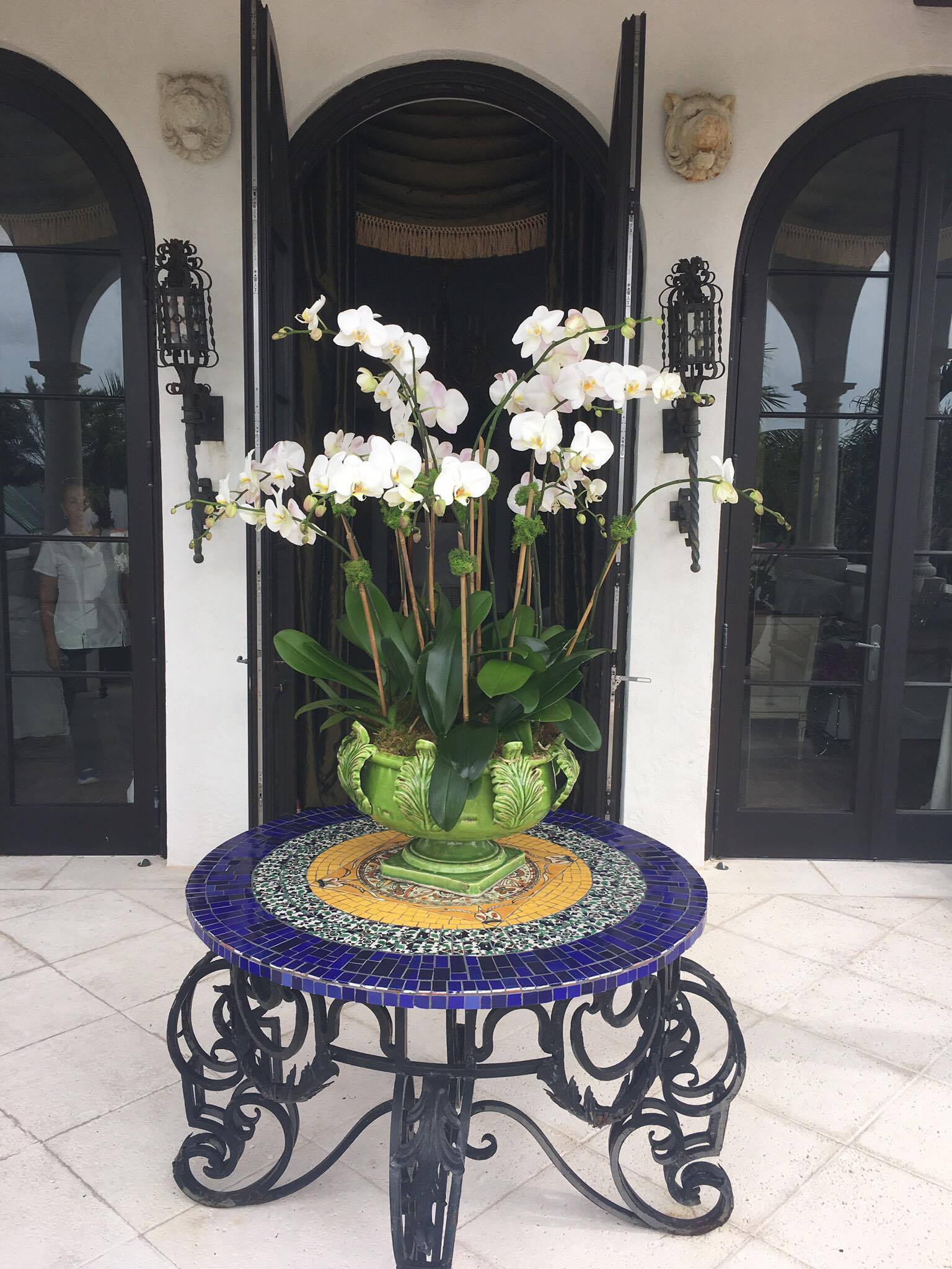 Orchids in Palm Beach
