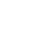 Badge icon