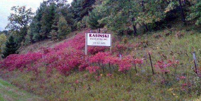 Rasinski Excavating Sign on slope - Excavation in Brainerd MN