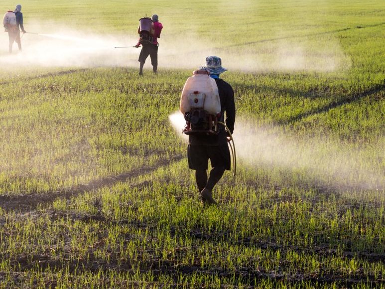 fitofarmaci e insetticidi per agricoltura