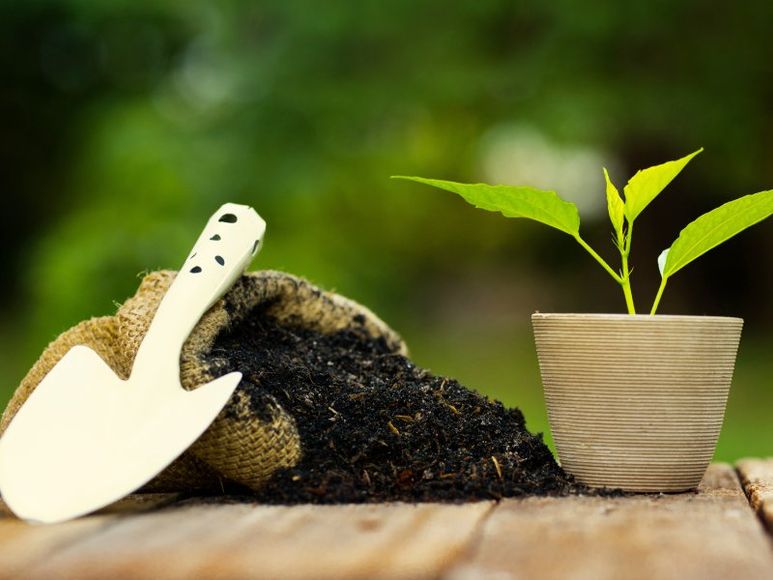 forniture per giardinaggio