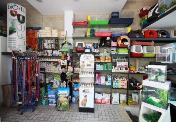 vendita di prodotti per l'acquario