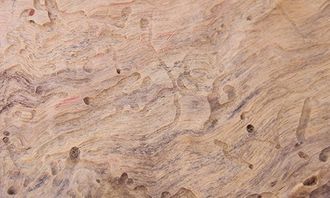 Disinfestazione legno, carta e tessuti