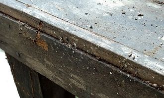 Disinfestazione tarli in anossia