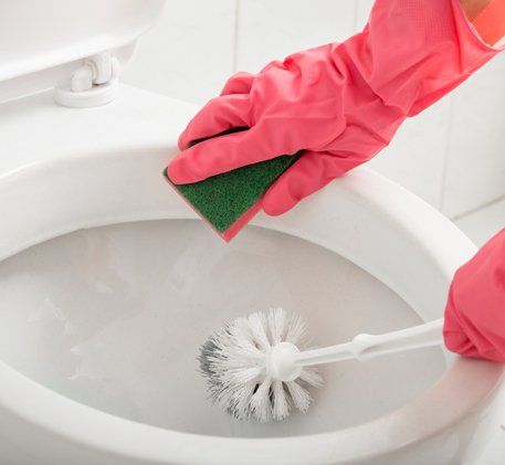 Home Cleaning — Scrubbing Toilet in Seattle, WA Home Cleaning — Scrubbing Toilet in Seattle, WA