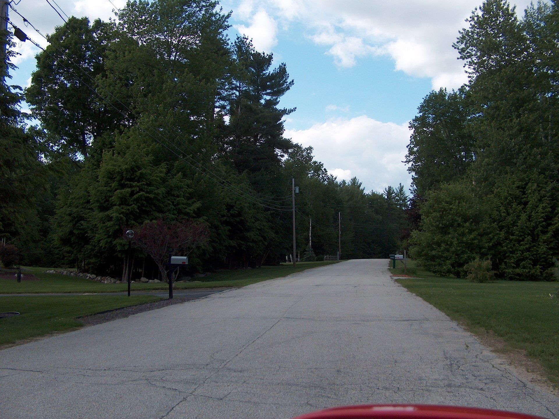 A road with trees on both sides and a mailbox in the middle