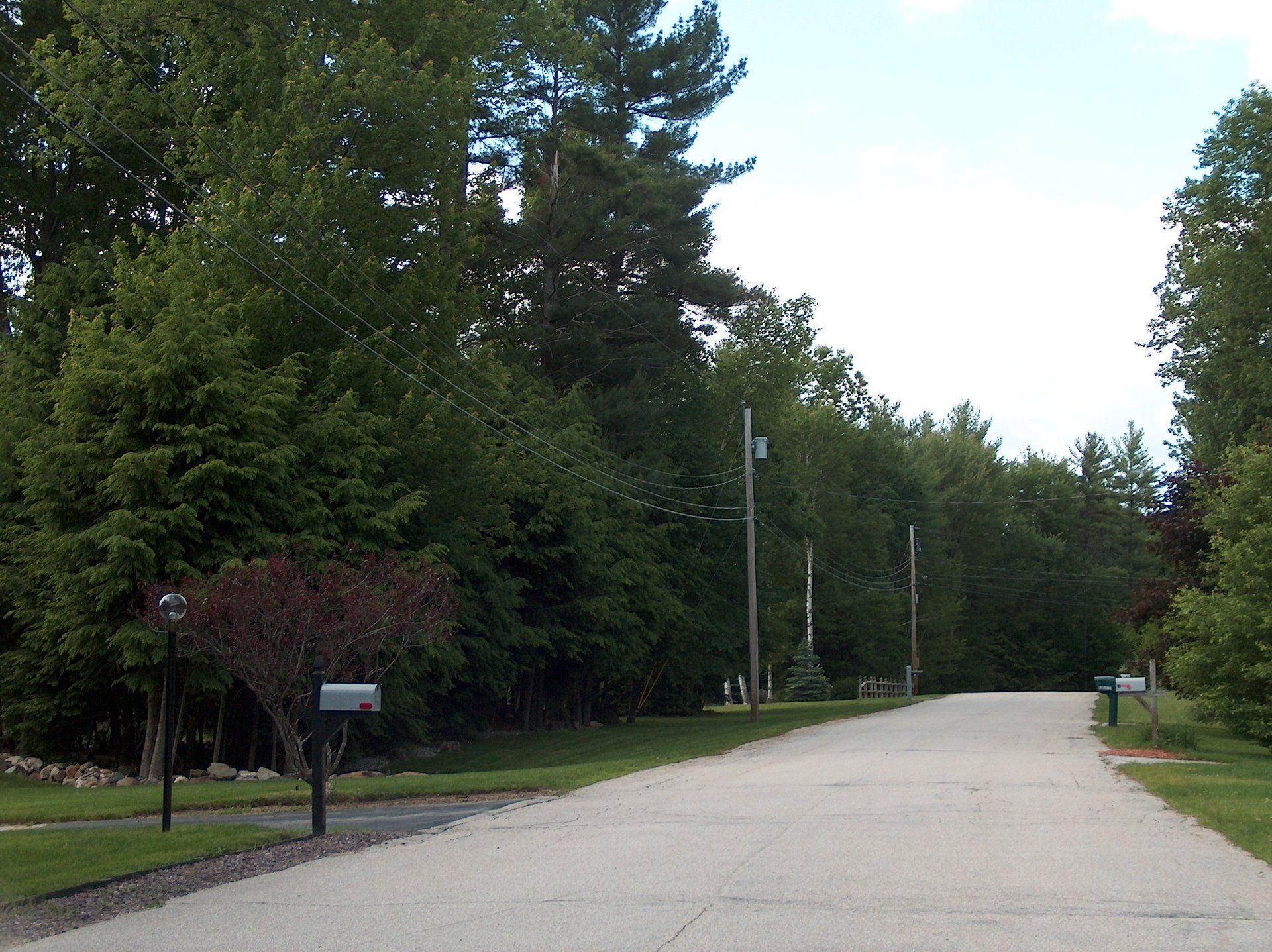 A mailbox on the side of a road surrounded by trees