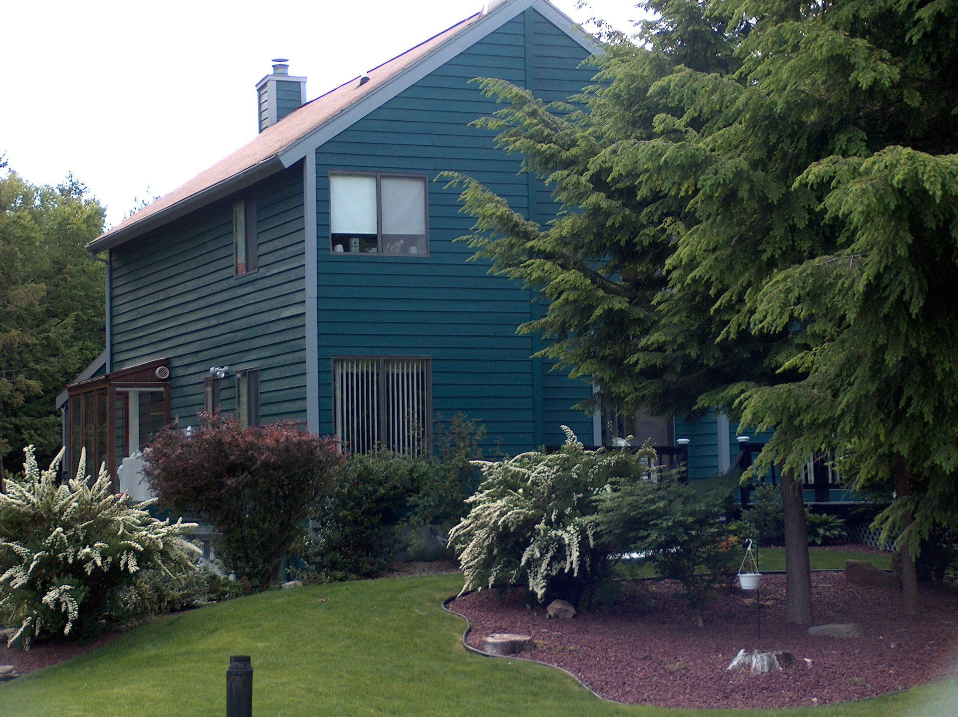 A green house is surrounded by trees and bushes