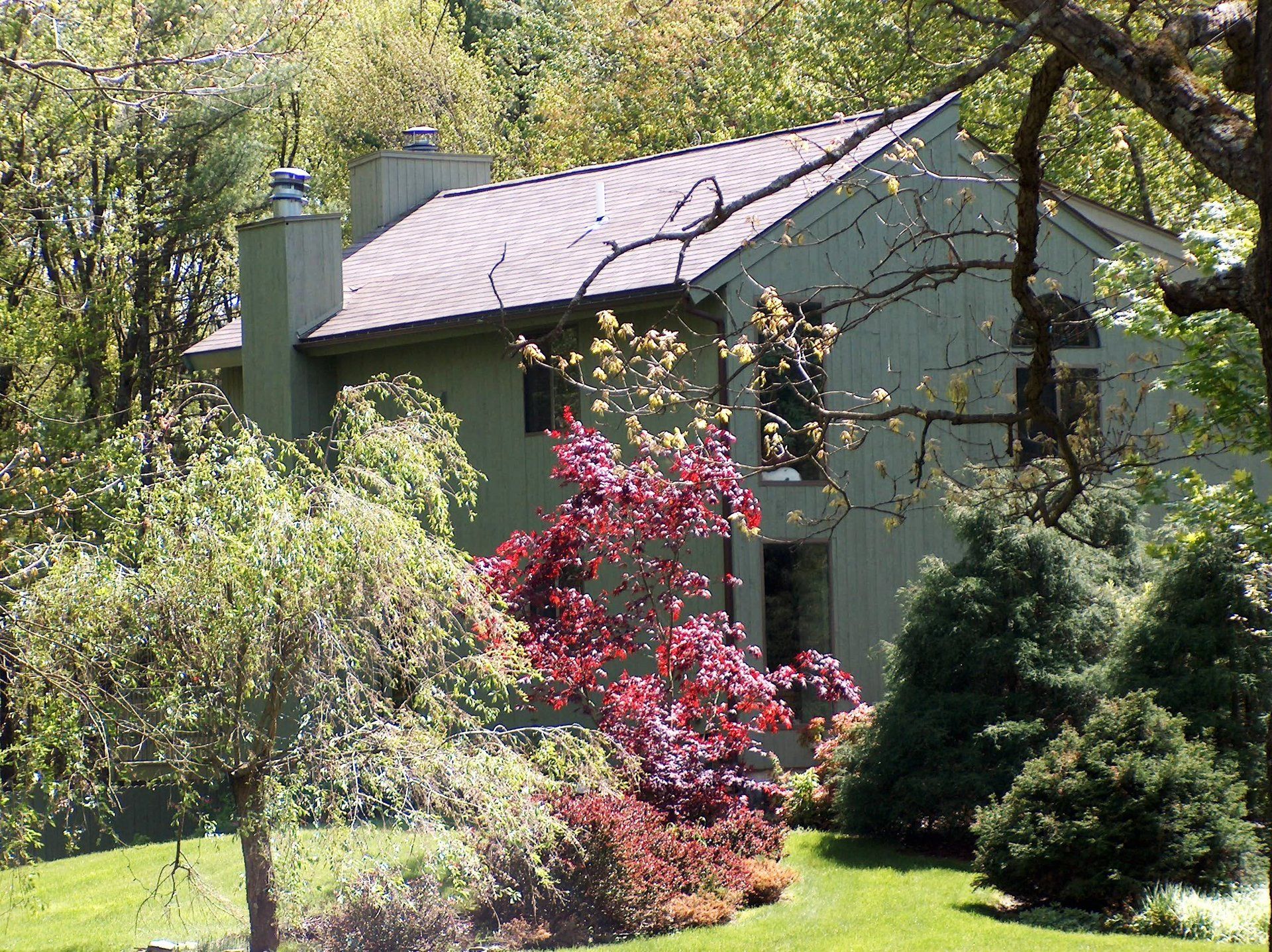 A house with a metal roof is surrounded by trees and bushes