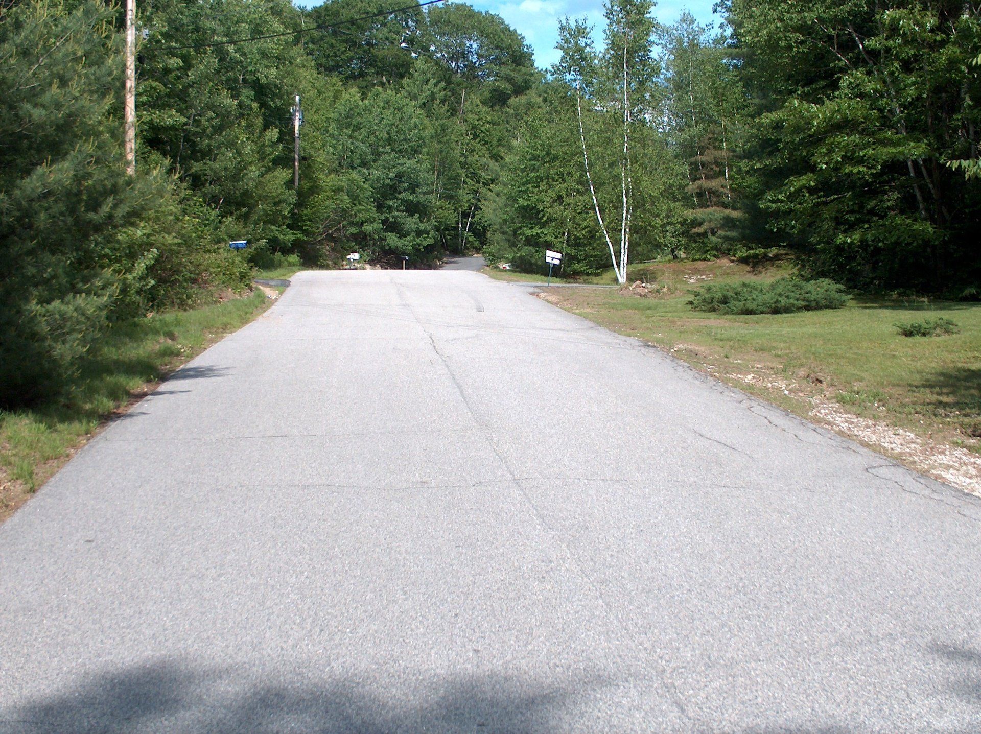 A road going through a forest with trees on both sides
