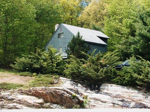 A house in the middle of a lush green forest