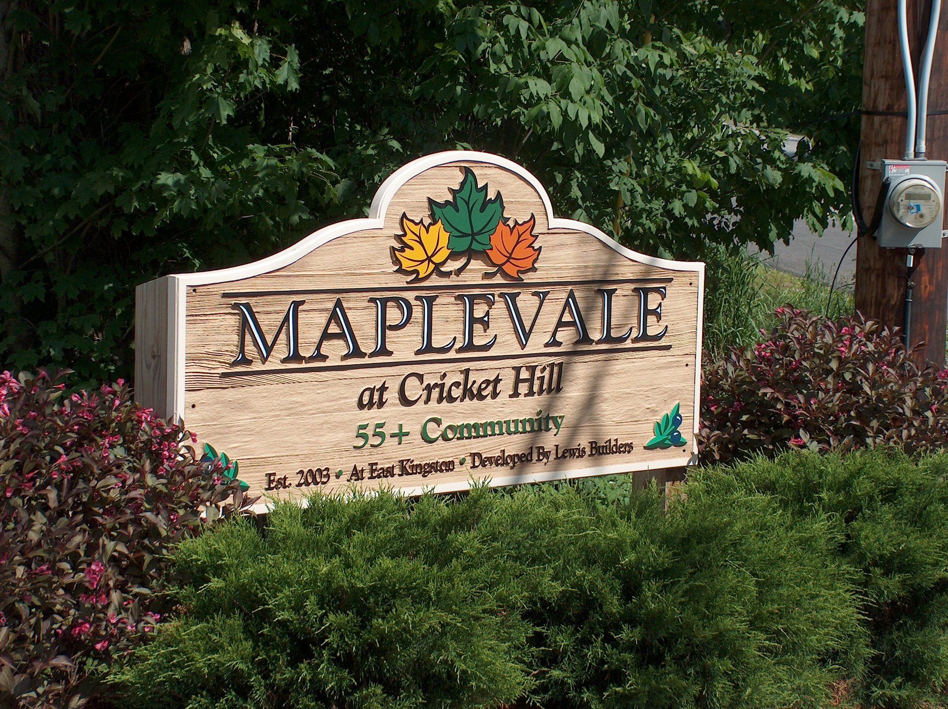 Maplevale at cricket hill is a 55+ community
