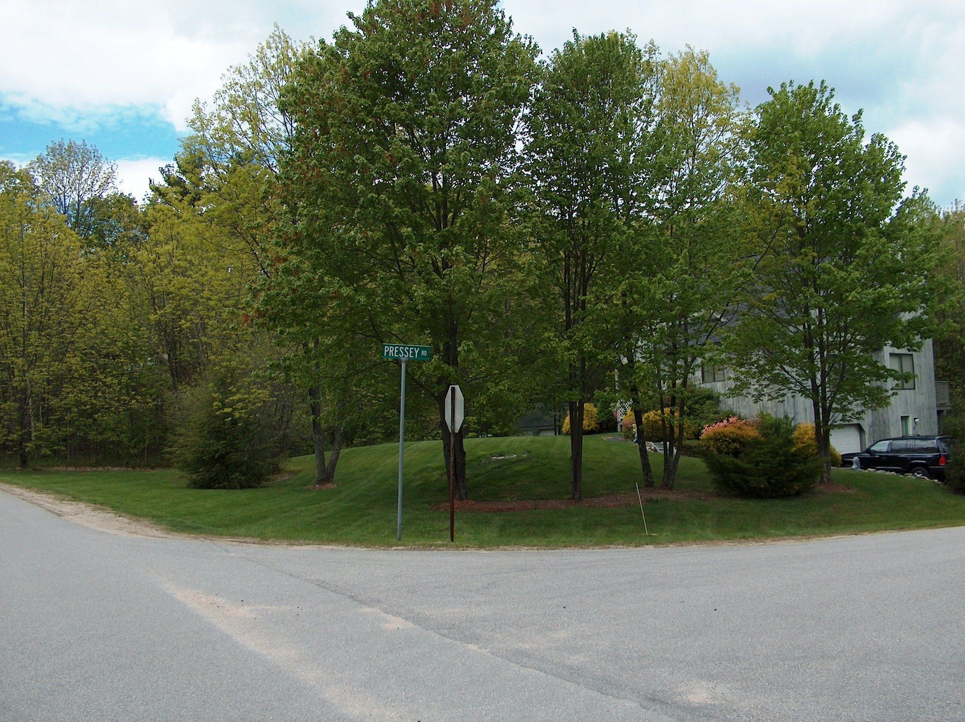 A corner of a street with trees and a sign that says ' n. smith ' on it