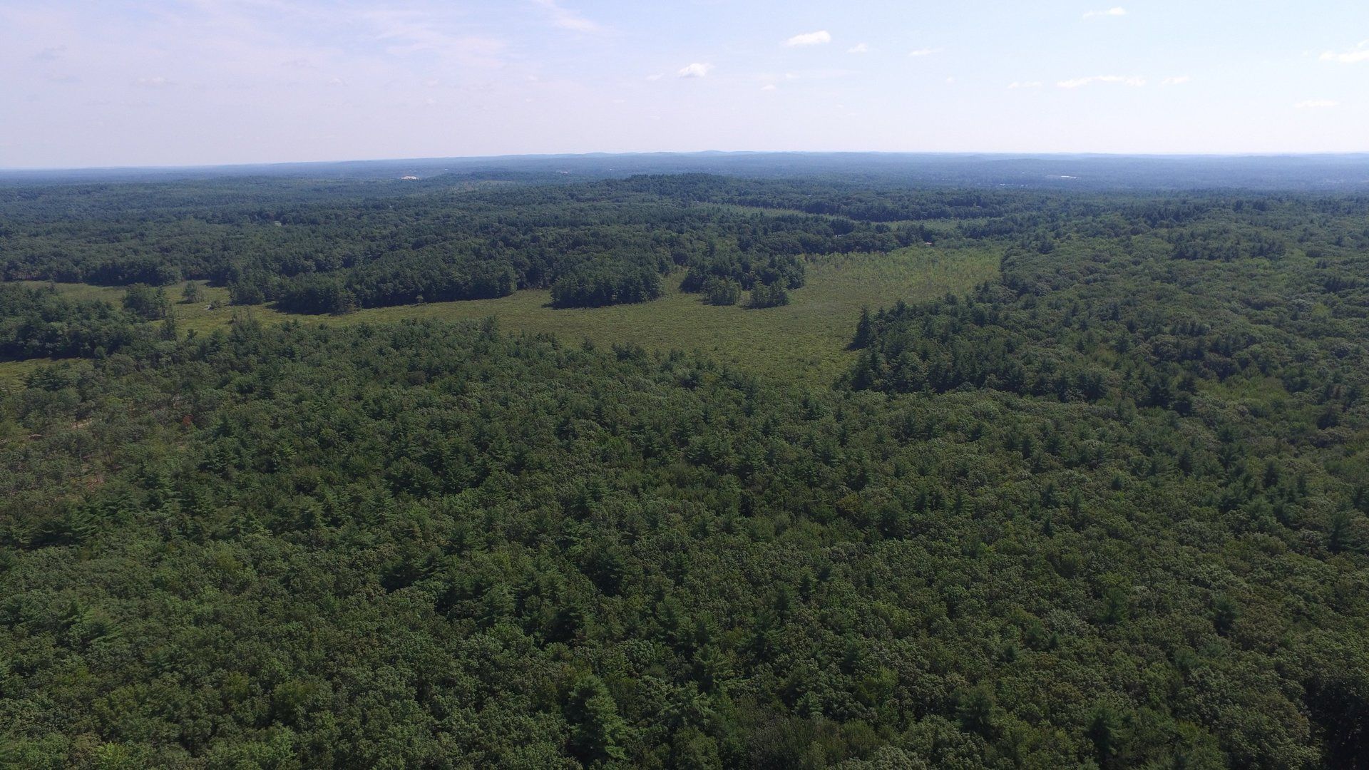An aerial view of a lush green forest on a sunny day.