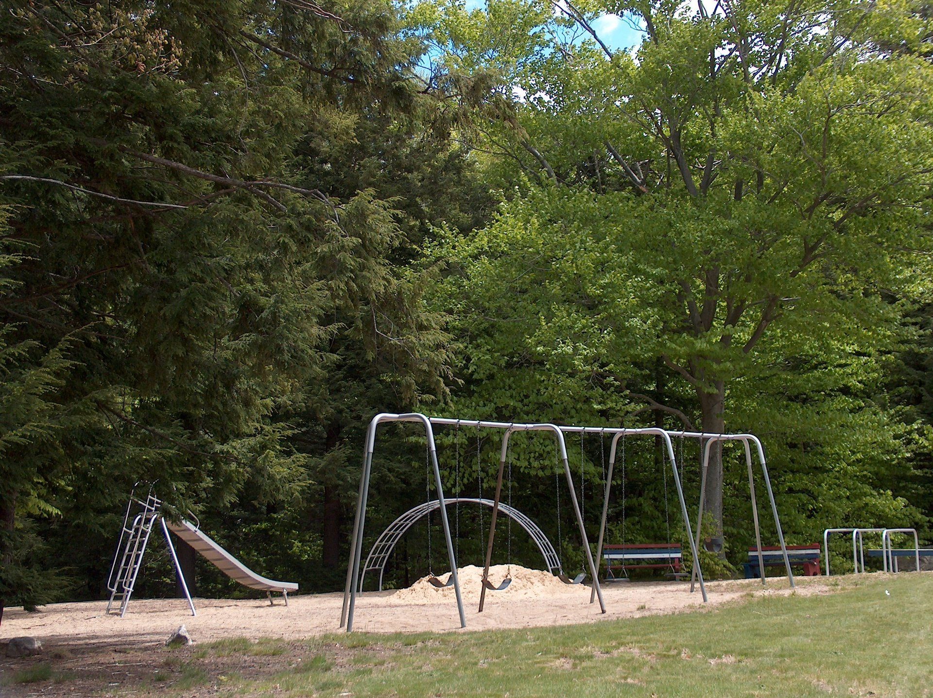 A playground with swings and a slide surrounded by trees