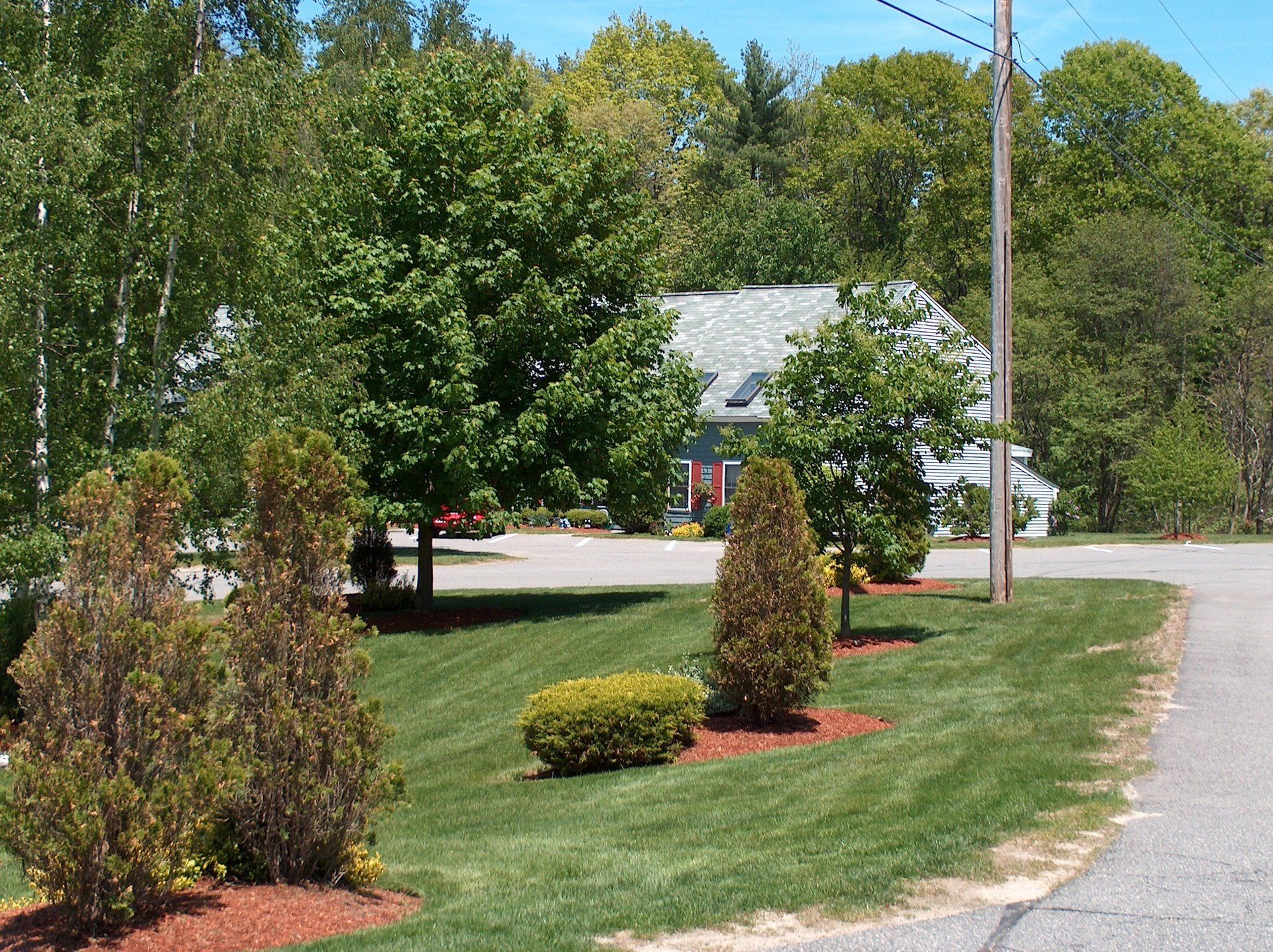 A lush green yard with a house in the background