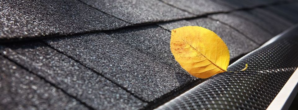 Rain Gutter with Leaf