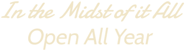 In the Midst of it All - Open All Year