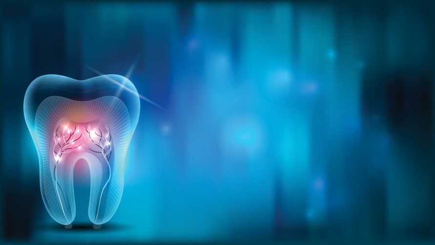 Beautiful Transparent Tooth With Roots - Dental Treatments in Port Macquarie, NSW Beautiful Transparent Tooth With Roots - Dental Treatments in Port Macquarie, NSW