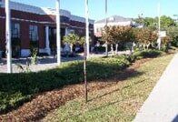 Commercial Landscape, Landscaping Services in Myrtle Beach, SC Commercial Landscape, Landscaping Services in Myrtle Beach, SC