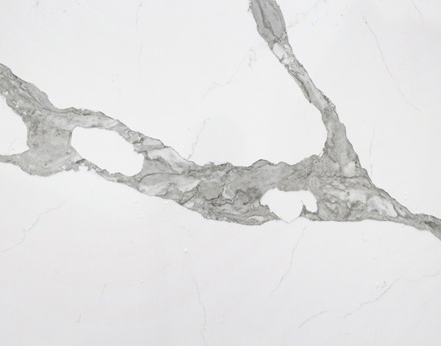 Picture of Forza Quartz in Conway Arkansas