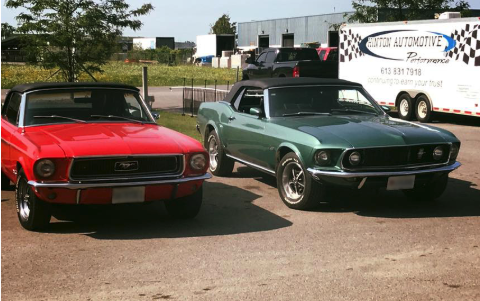 A red mustang is parked next to a green mustang