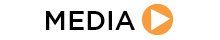 Media Link
