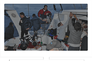 Shark Attack Experiment Live