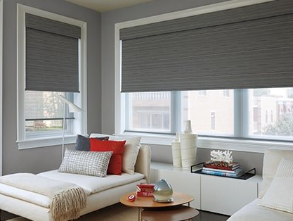 Interior Shades