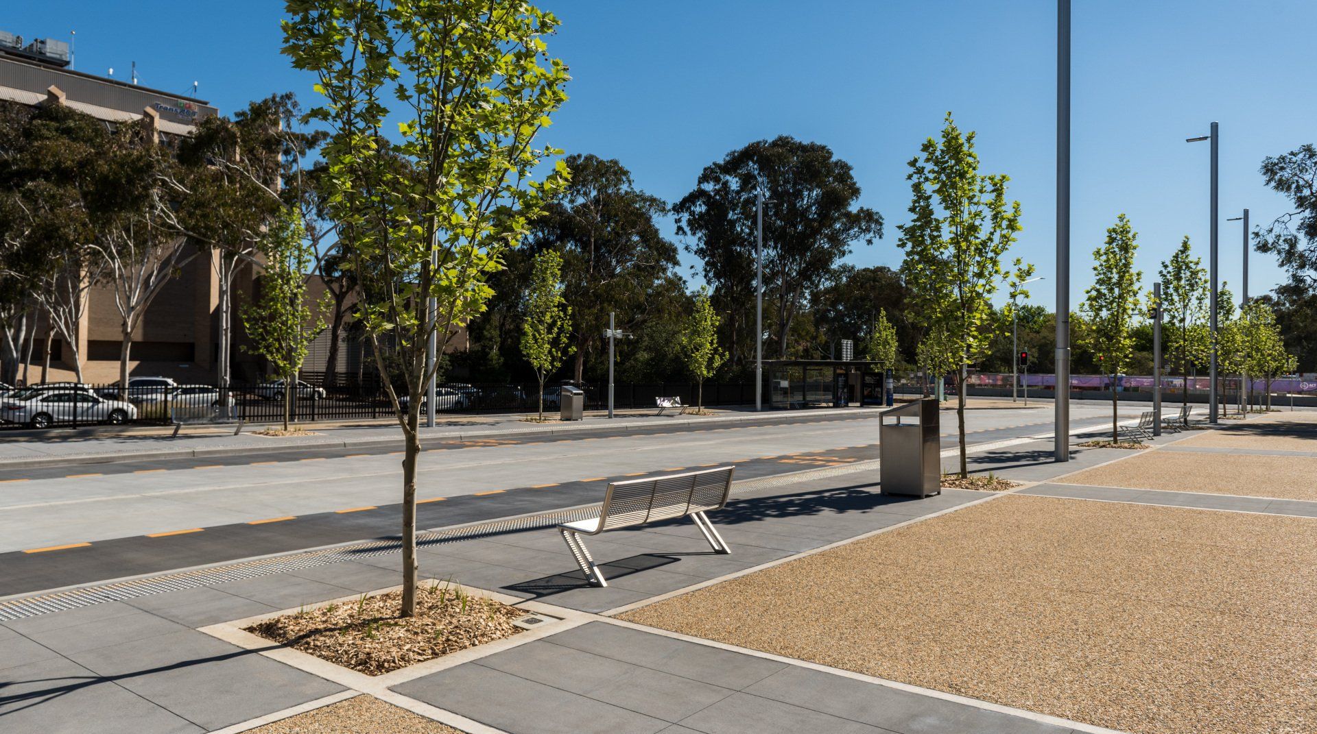 A parking lot with trees and a bench in the middle