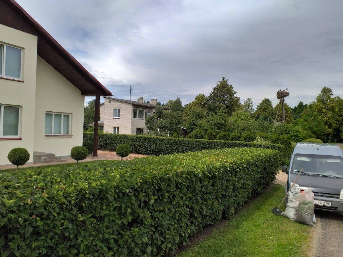 Dzīvžogu ierīkošana un veidošana 6
