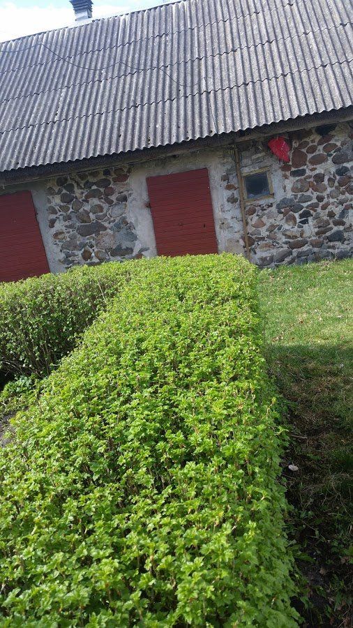 Dzīvžogu ierīkošana un veidošana 7