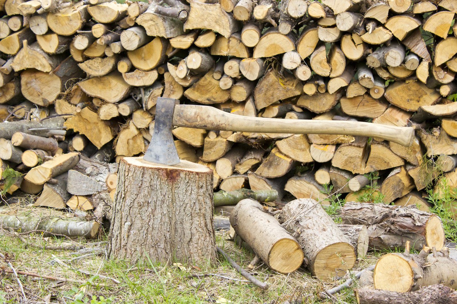Quality Firewood Stacked Denver